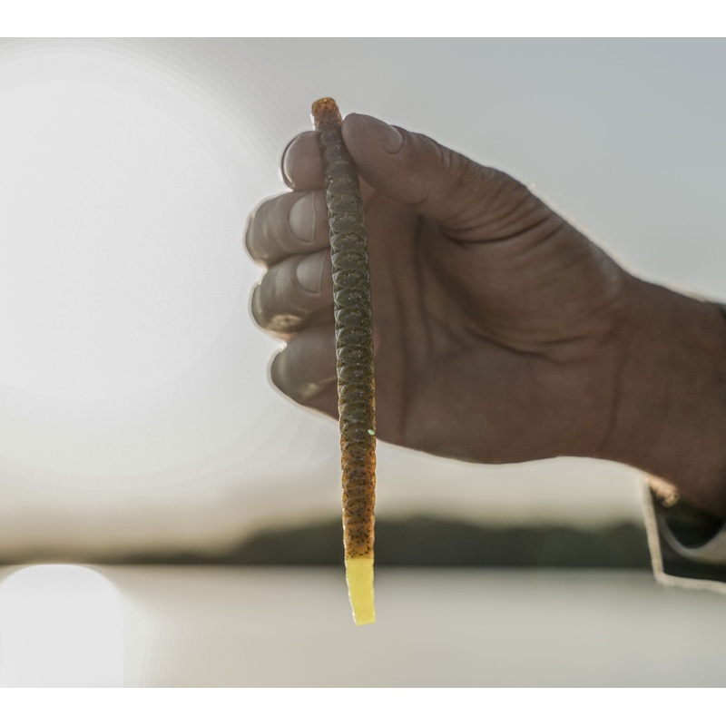 CLOUT – Green Pumpkin Dip|6.3in (7/pk)