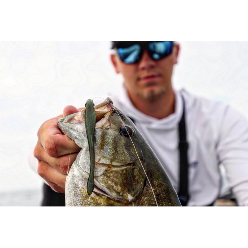 Glitch – Green Pumpkin Mist|3.8″ (10/pk)