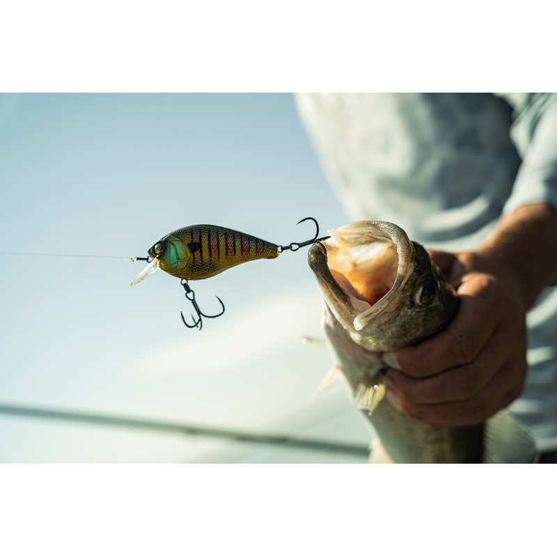 Crush Series – Bluegill Fire|100X (Faint Rattle)