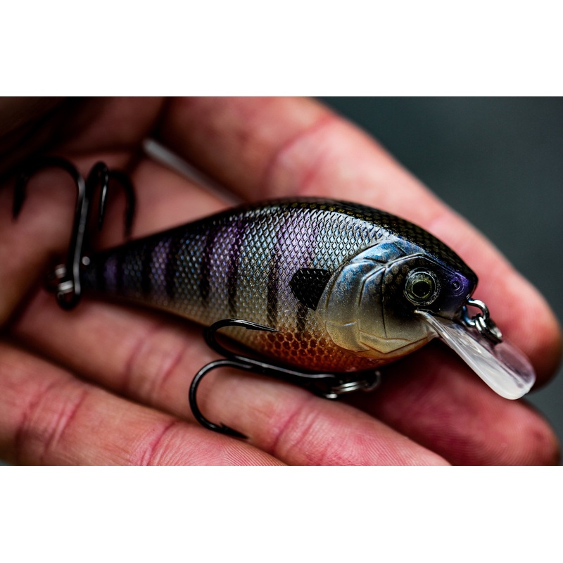 Crush Series – Bluegill Spawn|50X (Faint Rattle)|100S (Silent|100X (Faint Rattle)