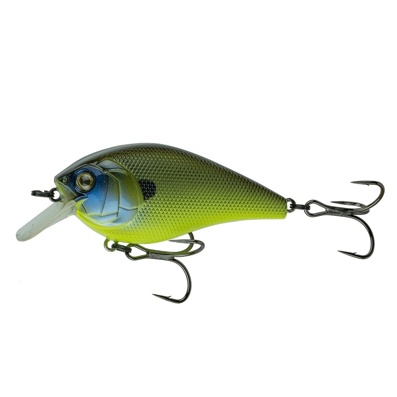 Crush Series – Green Pumpkin Gill