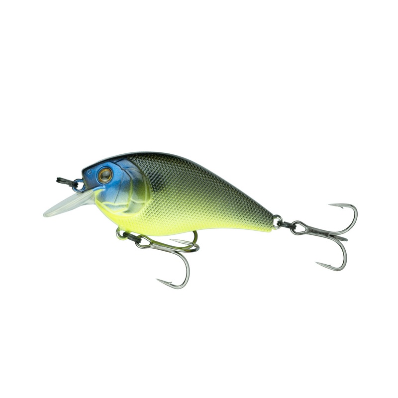 Crush Series – Green Pumpkin Gill