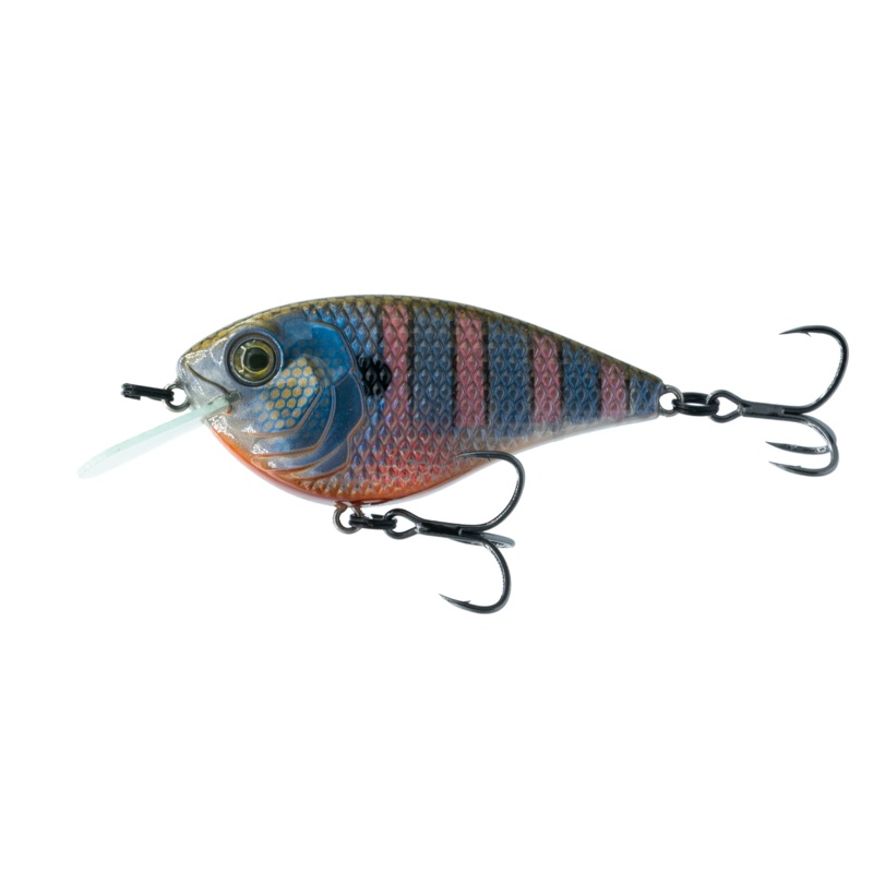 Flat Finesse F4 – Bluegill Spawn