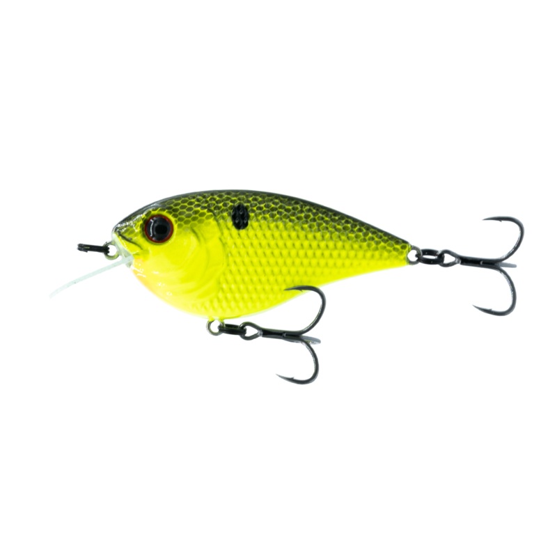 Flat Finesse F4 – Chartreuse Black Back