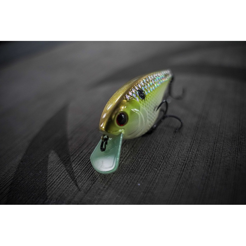 Flat Finesse F4 – Shad Streaker