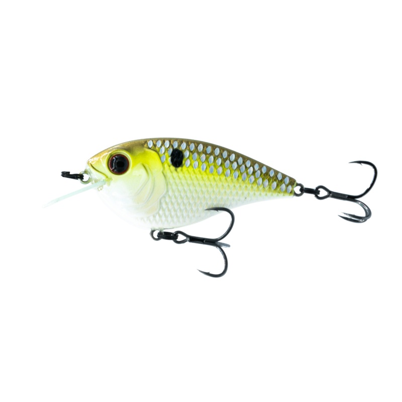 Flat Finesse F4 – Shad Streaker
