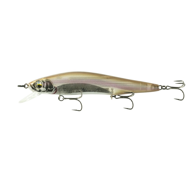 Provoke Series – Morning Dawn Flash