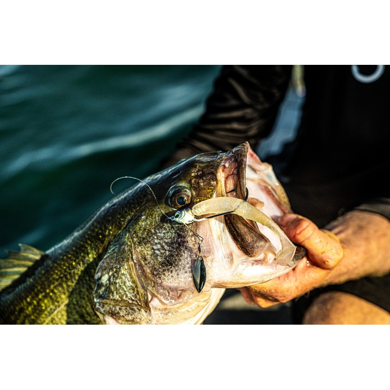 Axle Underspin – Baby Shad|3/8oz. (3/0)|3/8oz. (4/0)|3/8oz. (5/0)|1/2oz. (4/0)|1/2oz. (5/0)|3/4oz. (5/0)|3/4oz. (6/0)|1oz. (6/0)