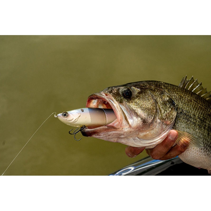 The Draw 6.5 – Ghost Glide|Slow Sink (1oz)|Fast Sink (1.5oz)