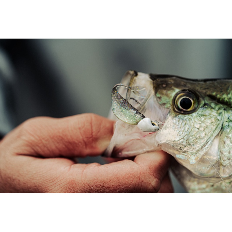 Clobber Minnow – Threadfin Shad