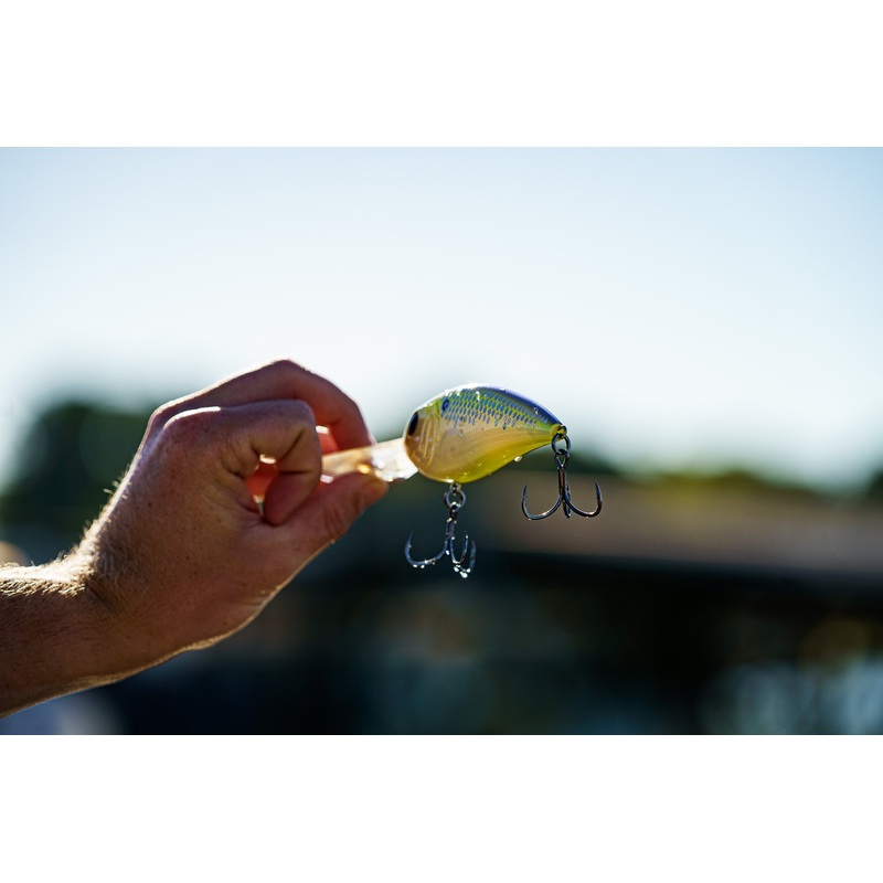 Crush DD Series – Citrus Scales