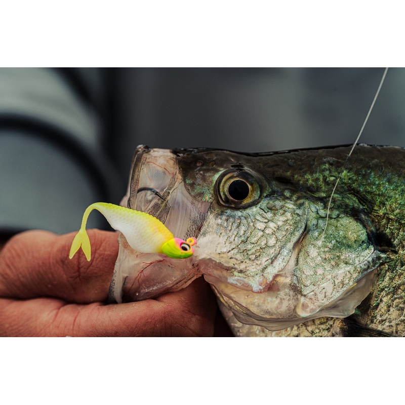 Clobber Minnow – Chartreuse Minnow