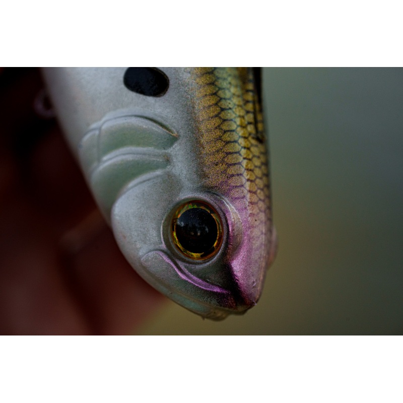 Hangover – 4K Shad|Medium Sink (2.7oz)|Fast Sink (2.9oz)