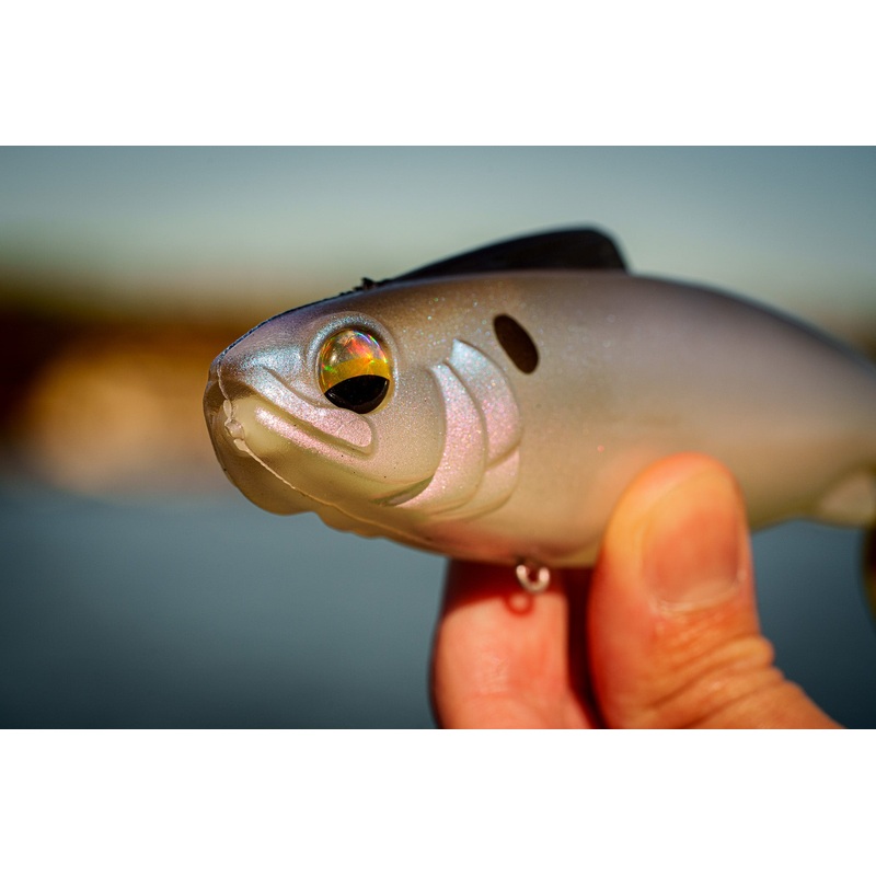 Hangover – Clearwater Shad|Medium Sink (2.7oz)|Fast Sink (2.9oz)