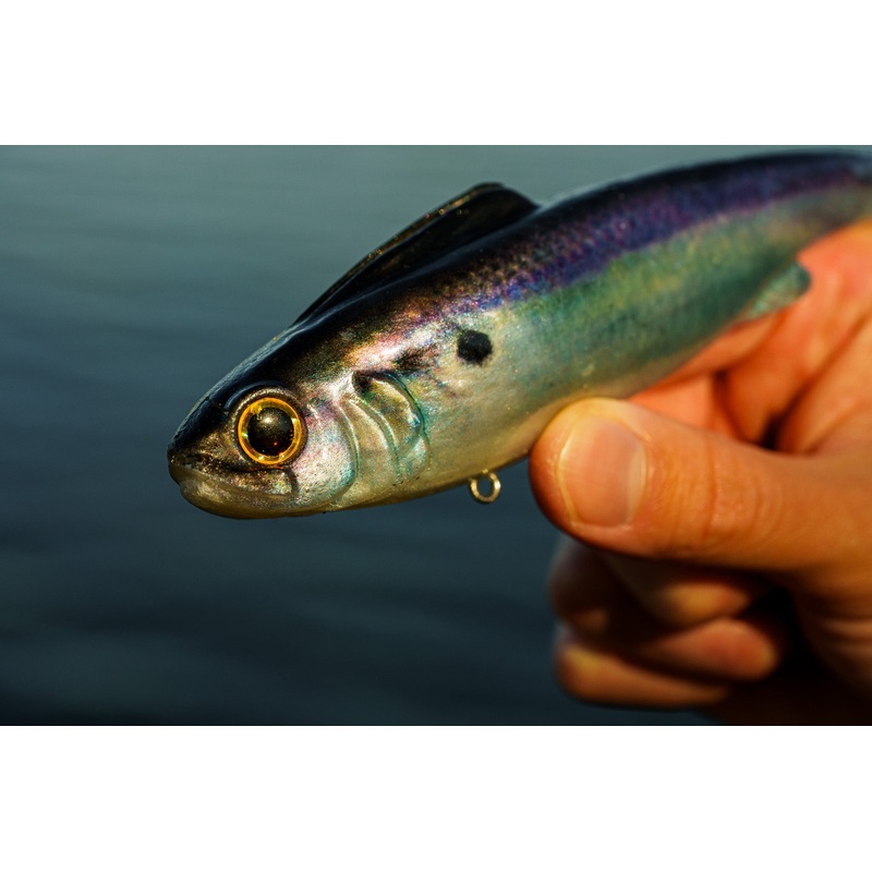 Hangover – Live Gizzard|Medium Sink (2.7oz)|Fast Sink (2.9oz)