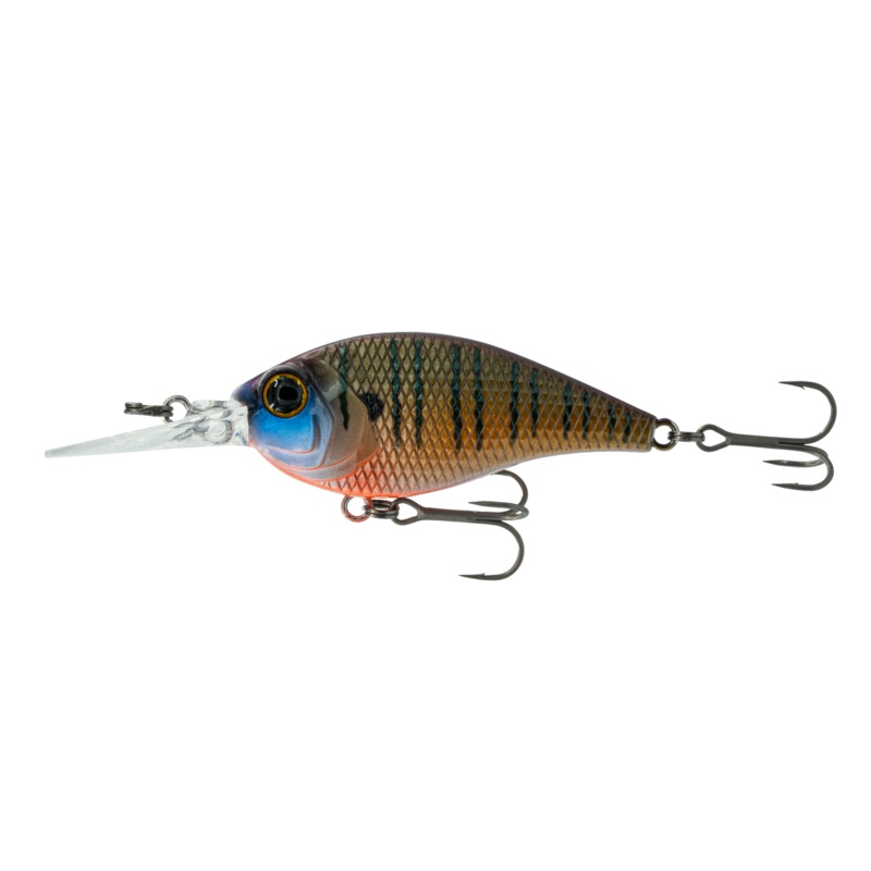 Pressure Series – Live Bluegill