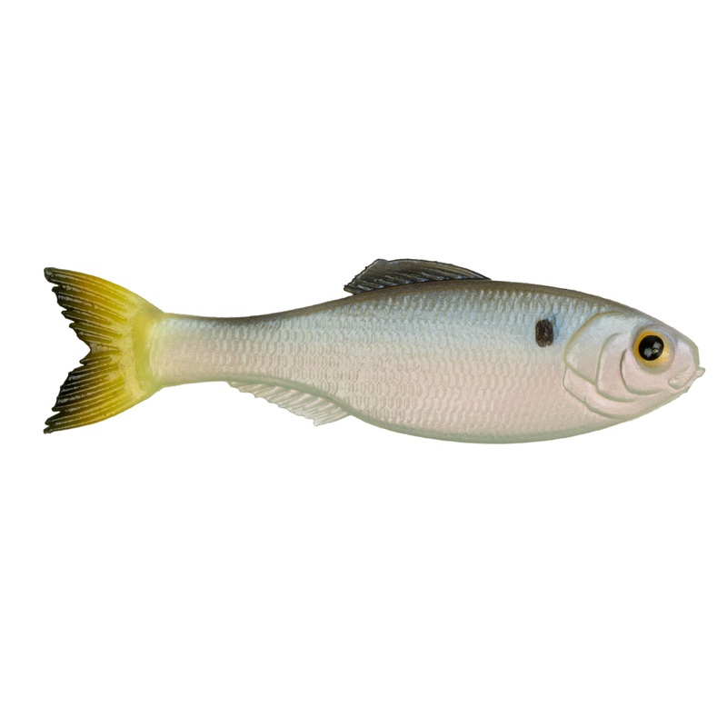 Panorama – Clearwater Shad|2.0″ (8/pk)|2.8″ (8/pk)|3.5″ (6/pk)|5.0″ (3/pk)|6.5″ (2/pk)