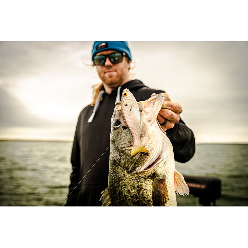 Panorama – Ghost Pro Shad|2.0″ (8/pk)|2.8″ (8/pk)|3.5″ (6/pk)|5.0″ (3/pk)|6.5″ (2/pk)|9.0″ (1/pk)