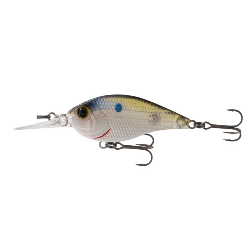 Pressure Series – Clearwater Shad