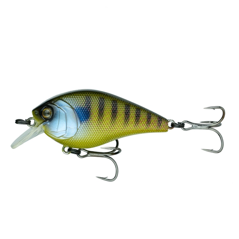 Crush Series – Gilliken|50X (Faint Rattle)