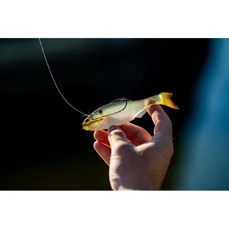 Panorama – Shad Clone|5.0″ (3/pk)|6.5″ (2/pk)