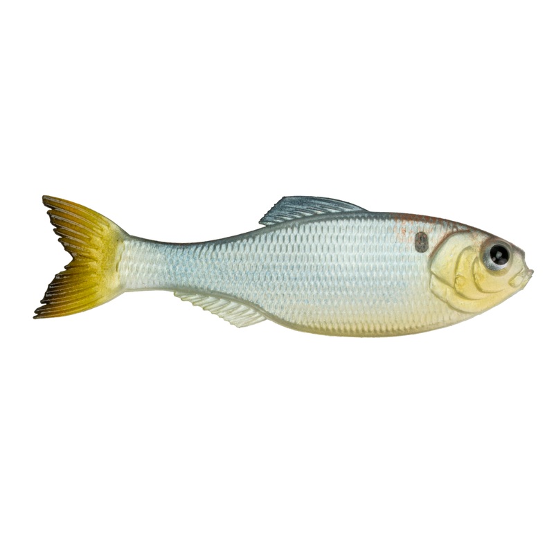 Panorama – Shad Clone|5.0″ (3/pk)|6.5″ (2/pk)