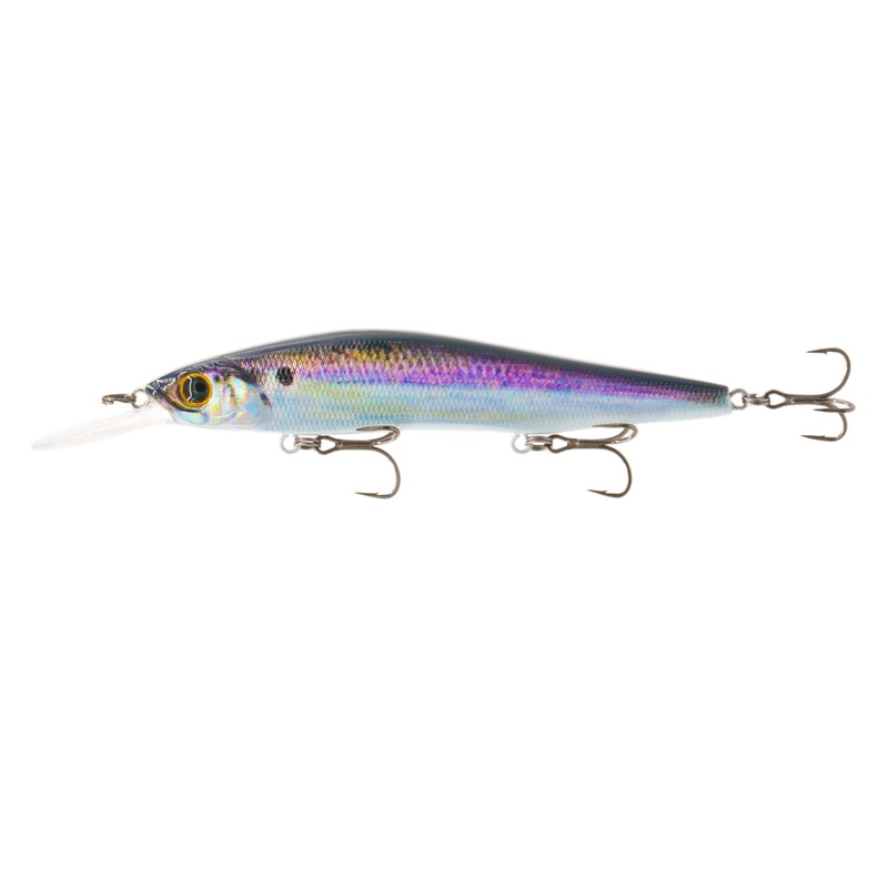 Provoke Series – Live Gizzard Flash