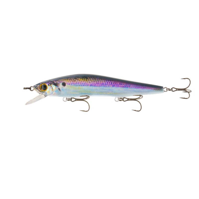 Provoke Series – Live Gizzard Flash