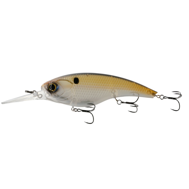 Pump 125DD – Ghost Gizzard|Ghost Gizzard