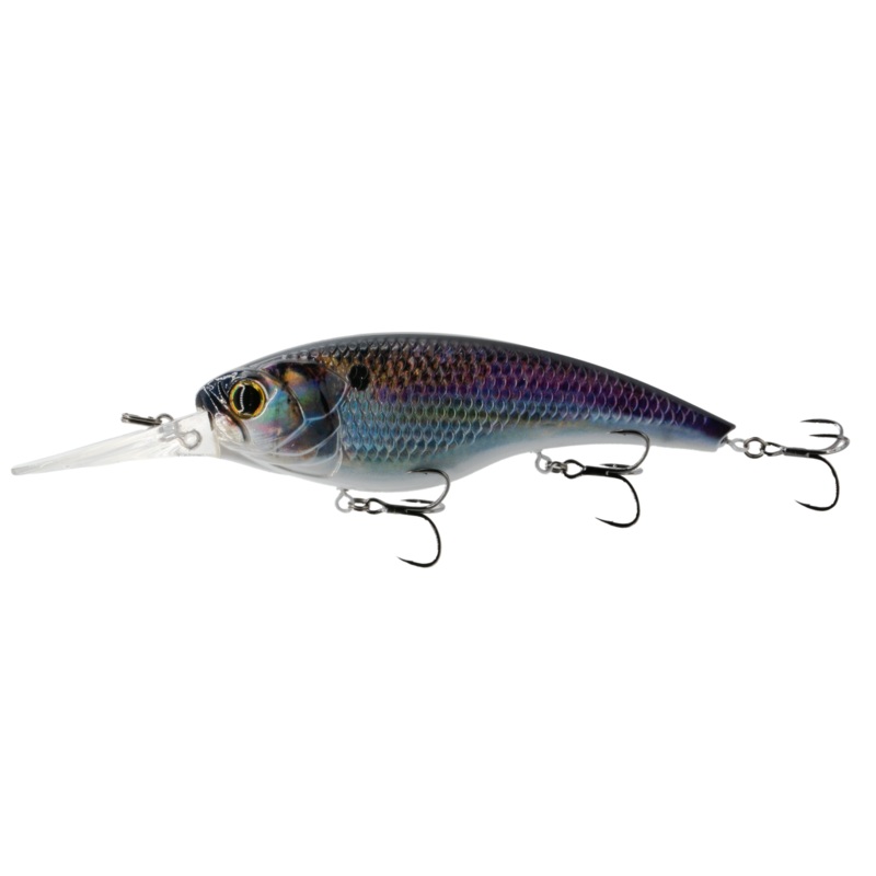 Pump 125DD – Live Gizzard Flash