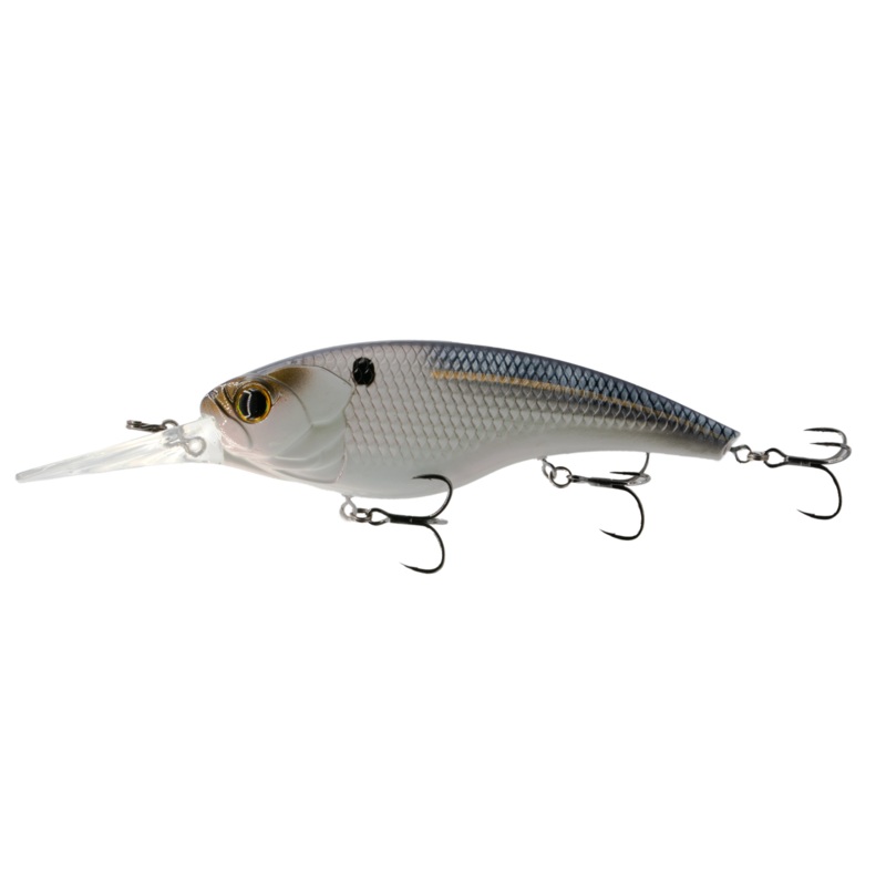 Pump 125DD – Live Threadfin Shad