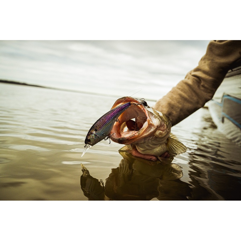 Pump 125DD – Natural Shad|Natural Shad