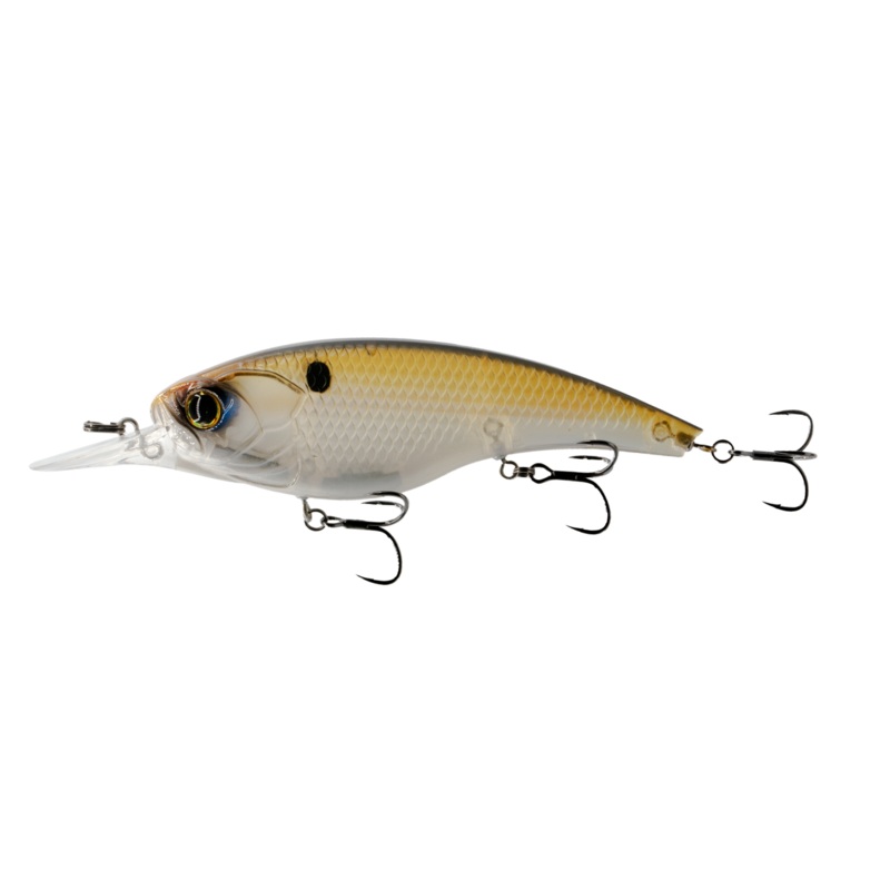 Pump 125 Shallow – Ghost Gizzard