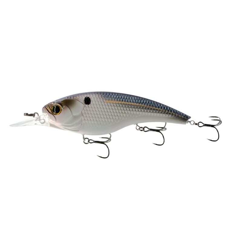 Pump 125 Shallow – Live Threadfin Shad