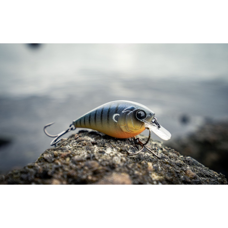 Crush Series – Backwater Bluegill