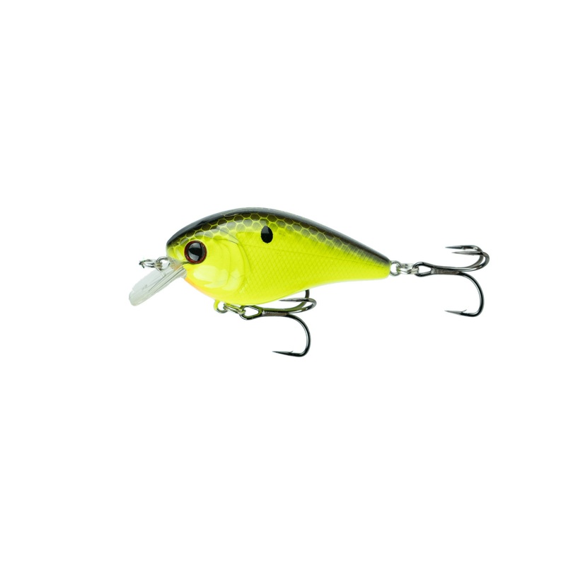 Crush Series – Chartreuse Black Back