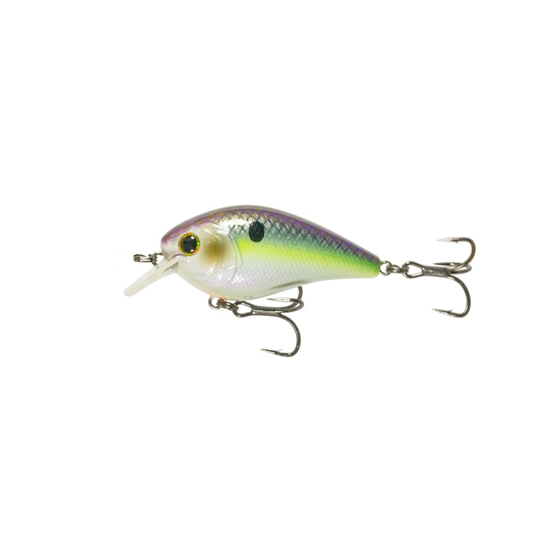 Crush Series – Wild Shad|25X (Silent)|50S (Silent)|100X (Faint Rattle)