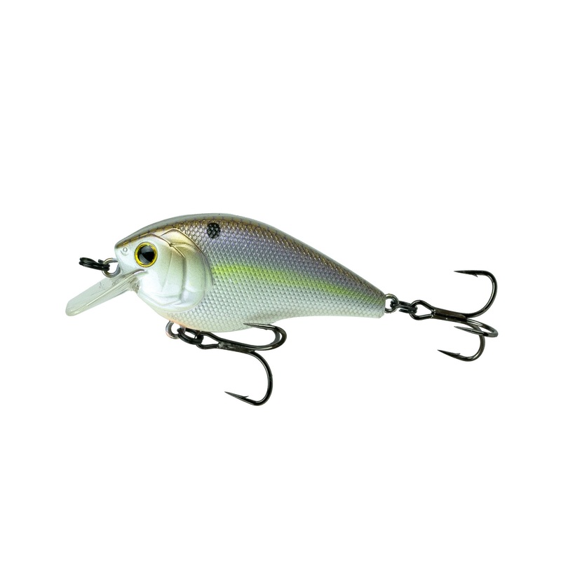 Crush Series – Wild Shad|25X (Silent)|50S (Silent)|100X (Faint Rattle)