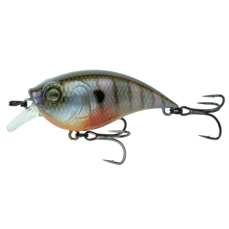 Curve Finesse Squarebill – Bluegill Spawn
