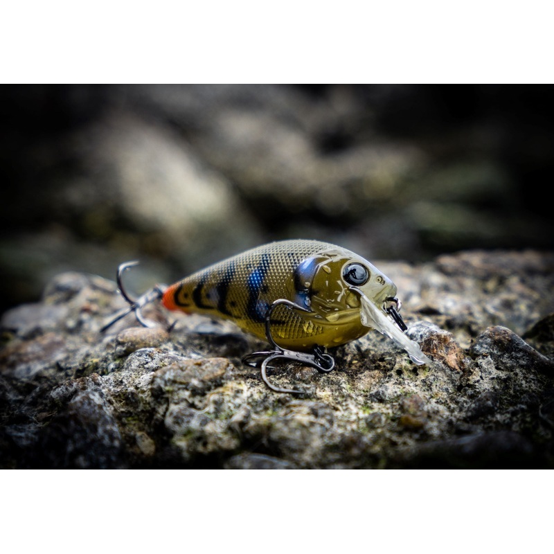 Crush Series – Tipped Crawfish