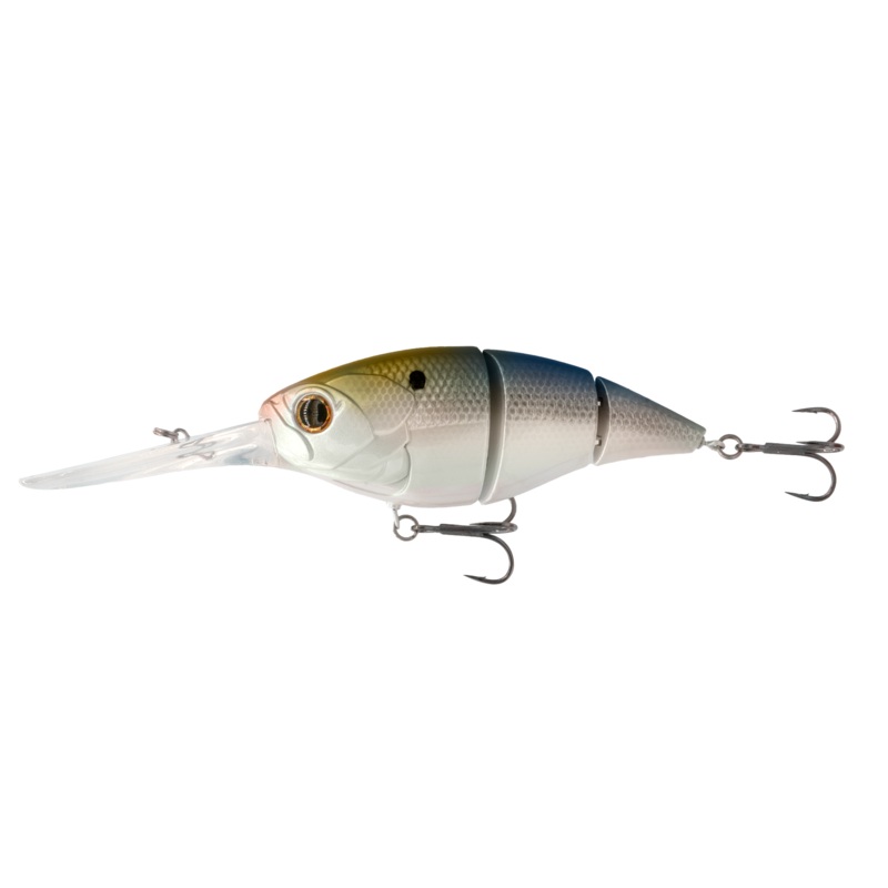 The Unit 24 – 4k Shad|4K Shad
