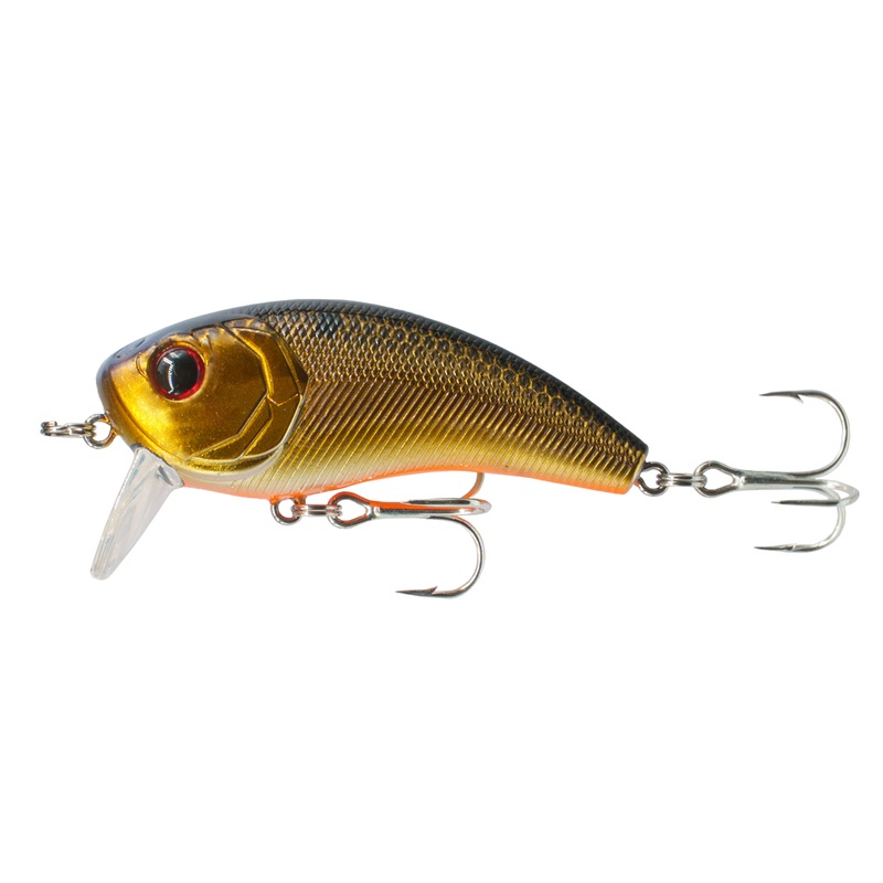 Movement Salt Wake Series – Gold Reactor