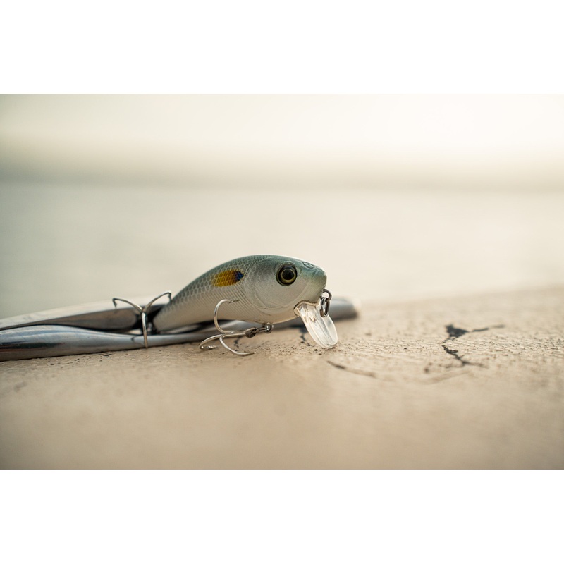 Movement Salt Wake Series – Live Mullet