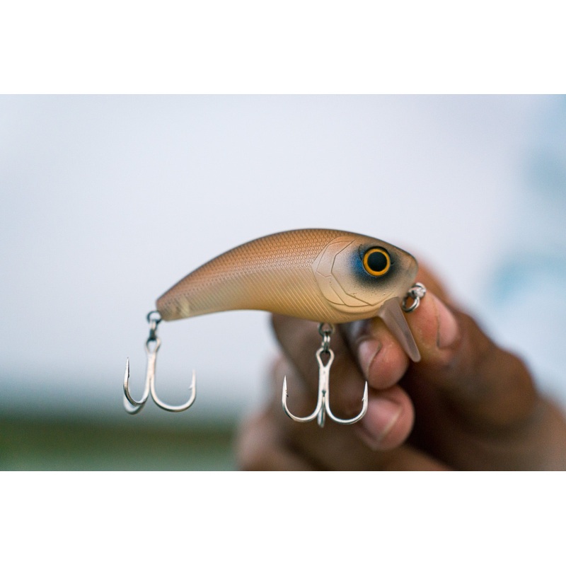 Movement Salt Wake Series – Shrimp Brew