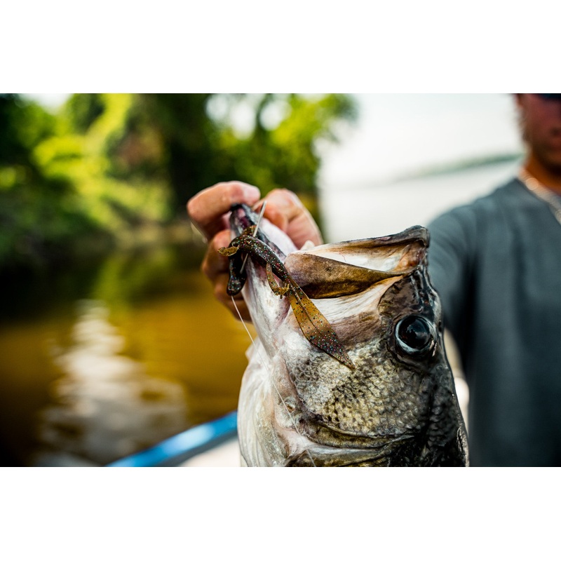 Ridge Lizard 5.7 – Green Pumpkin Juice