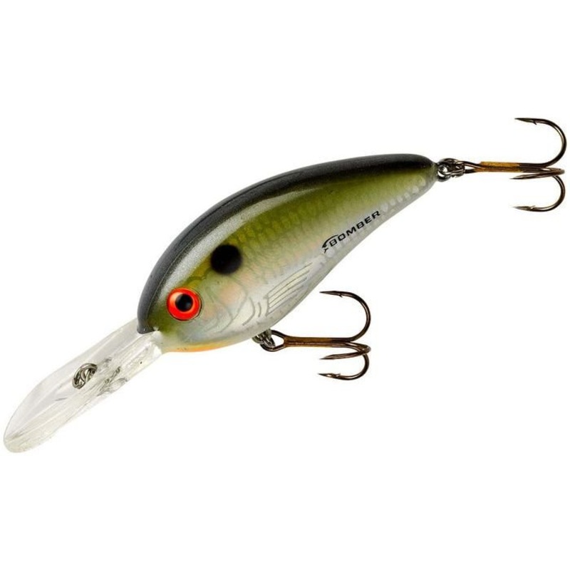 Bomber Lures Fat Free Shad Jr 2-1/2 5/8 Oz