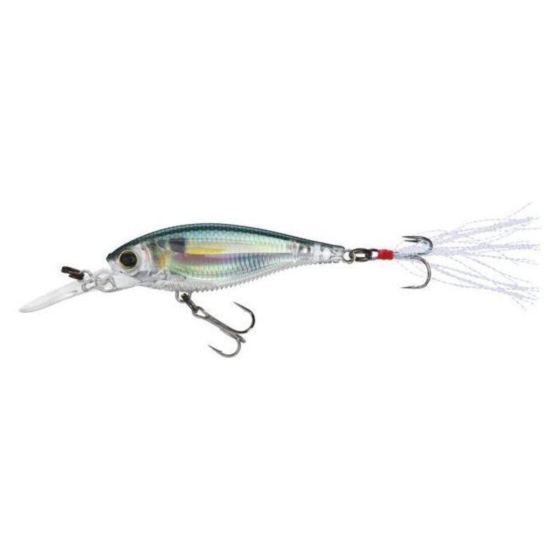 Yo-Zuri 3DB Shad 2-3/4 3/8 Oz|Real Perch|Real Gizzard Shad
