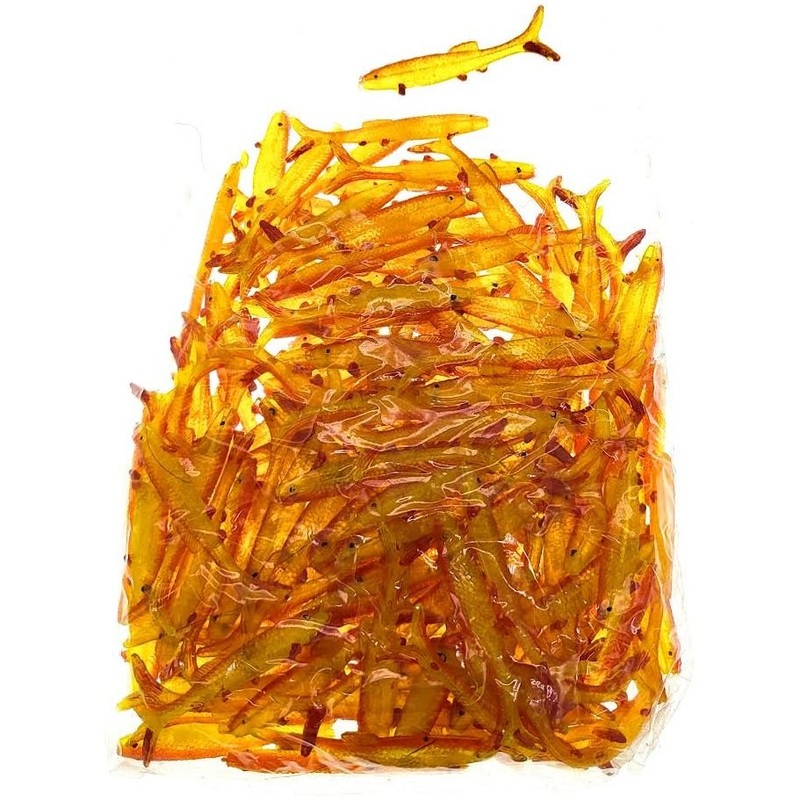 FAS Minnows Bulk Bag Qty 100|Yellow/Orange|Chartreuse/Red|Green/Yellow|Assorted|2-1/2″|2″|Assorted
