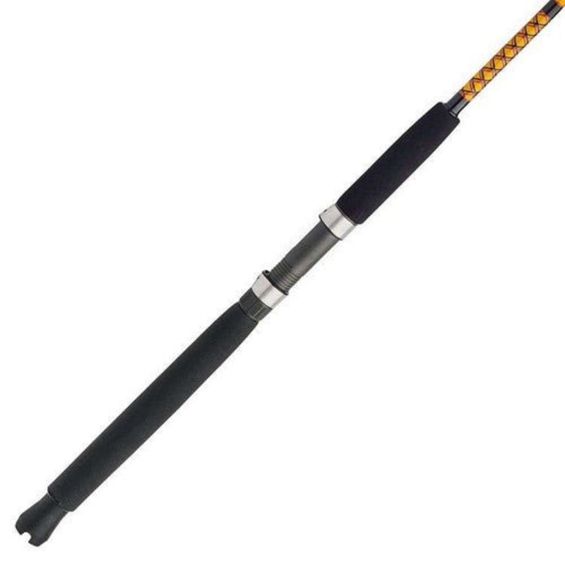 Shakespeare BWDD1230C102 Ugly Stik Bigwater Conventional 10′ 2-Pc