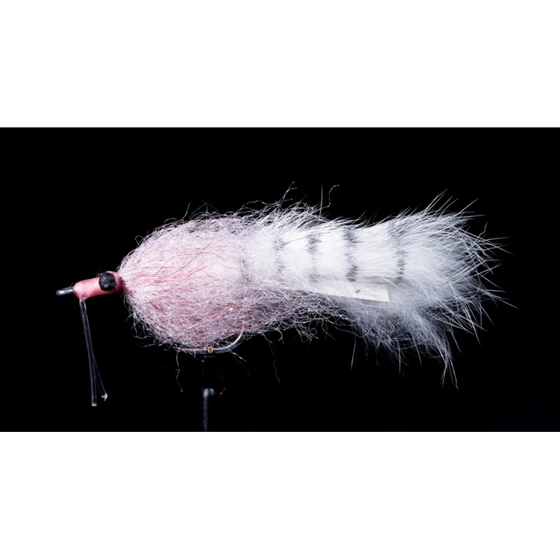 Manic Fly Bradleys Barra Bunny